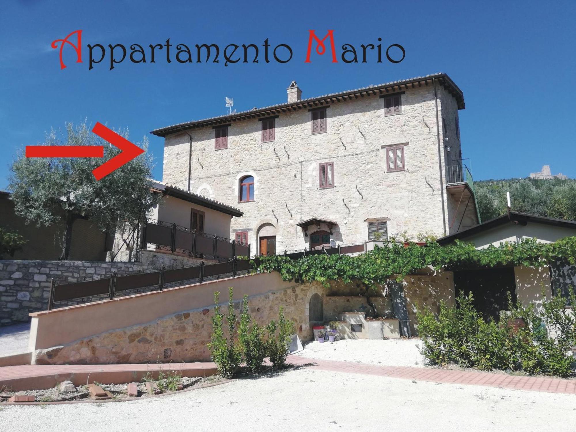 Cardinali Apartment *