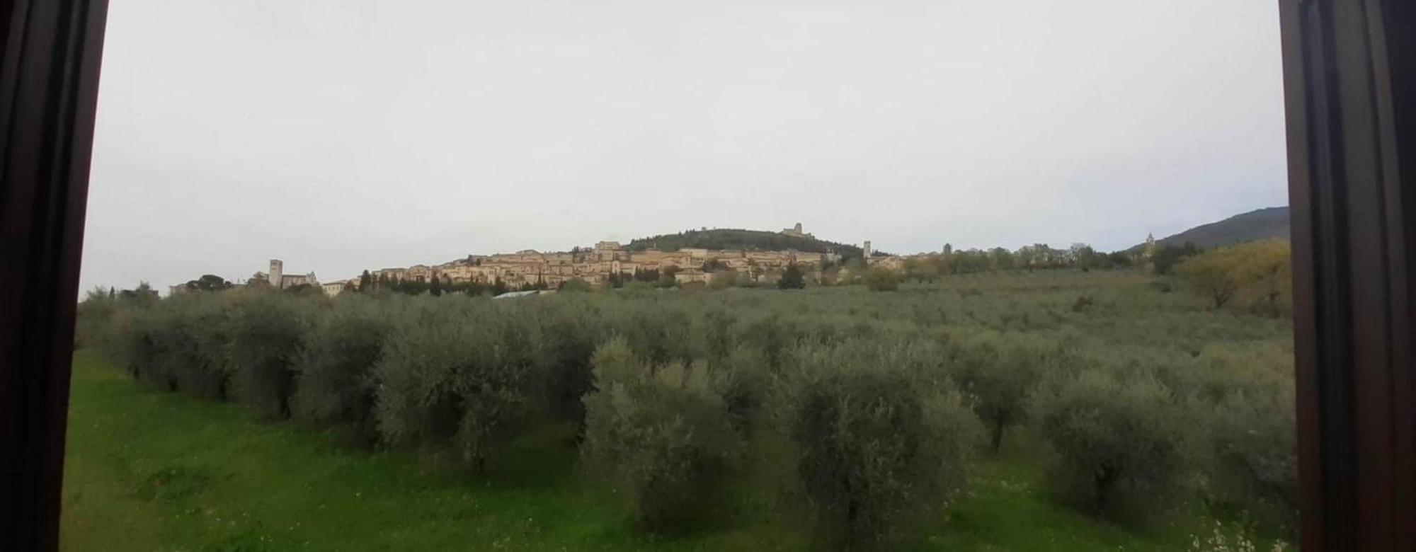 Apartment Cardinali