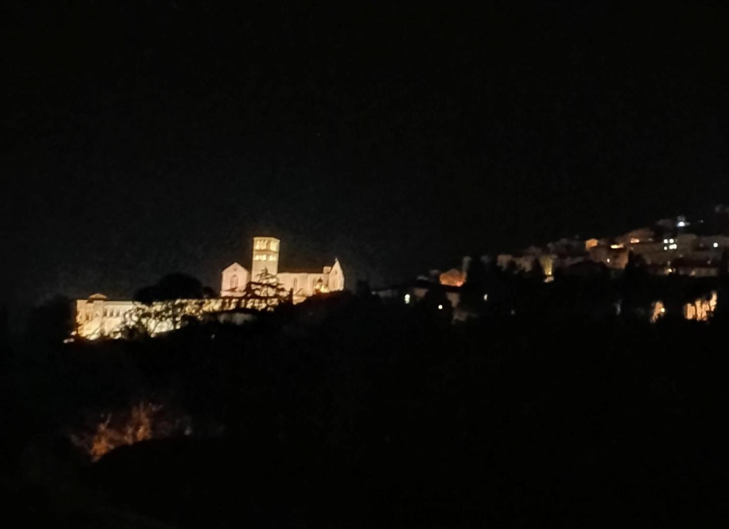 Cardinali Assisi